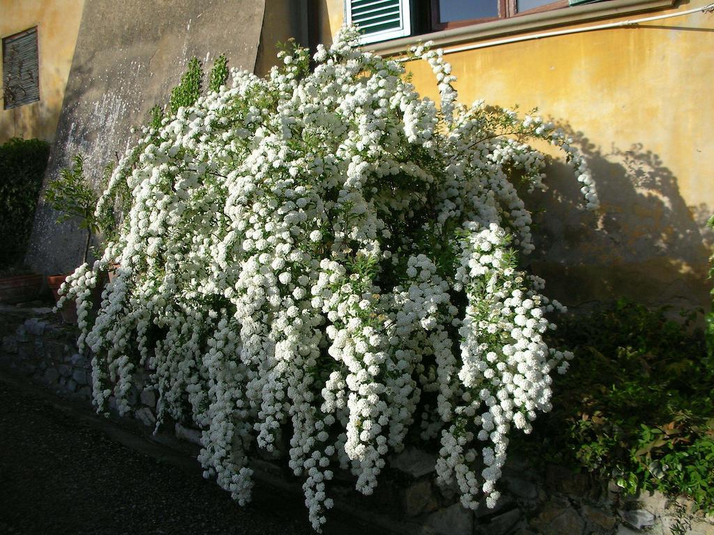 Locanda Giolica Prato  Exteriör bild